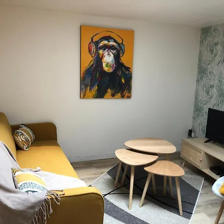 Apartamento Duplex D'exception : Green & Wood Proche Centre Wifi Hd Lille