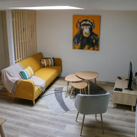Apartamento Duplex D'exception : Green & Wood Proche Centre Wifi Hd