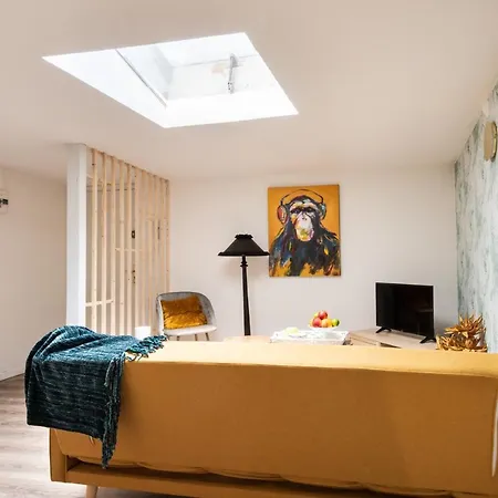 Duplex D'exception : Green & Wood Proche Centre Wifi Hd * Lille